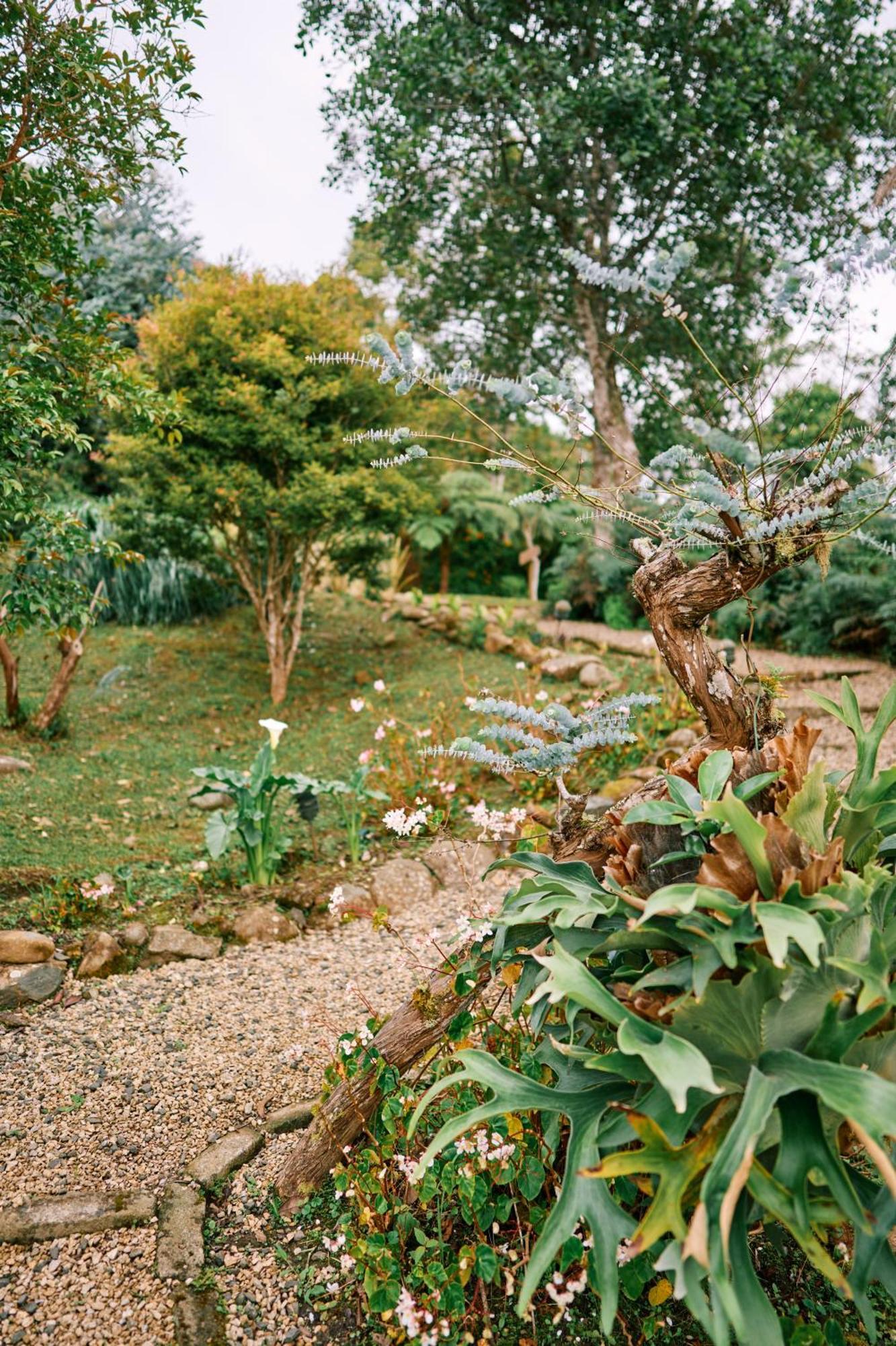 Eucaliptus Spa Resort Dapa Luaran gambar